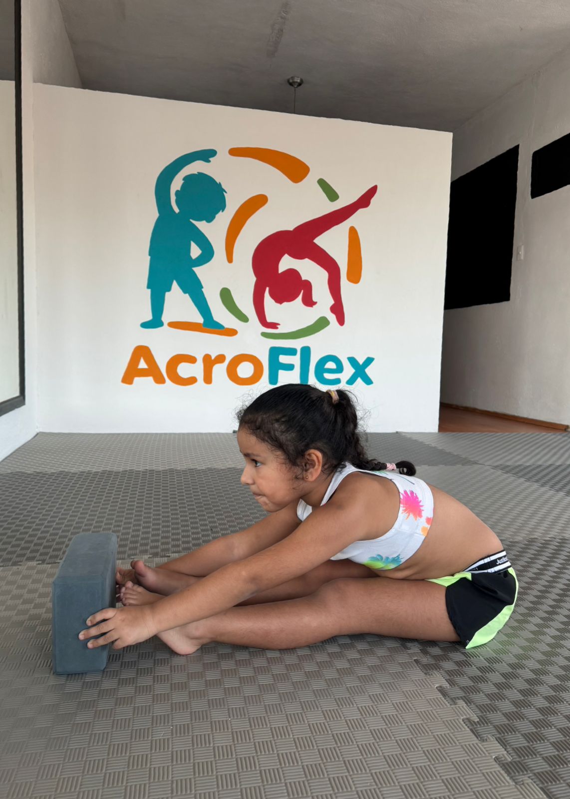 Galería AcroFlex 3